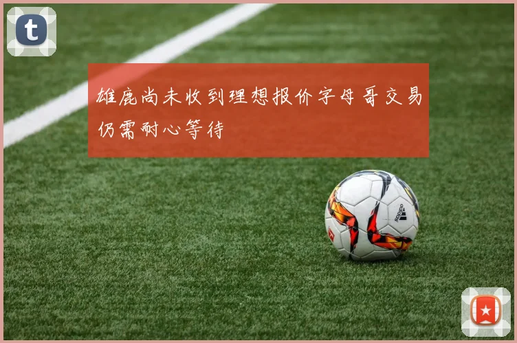 雄鹿尚未收到理想报价字母哥交易仍需耐心等待