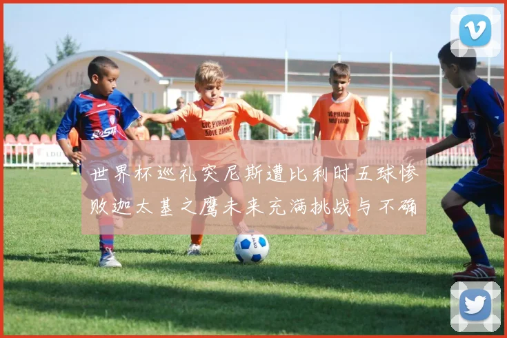 世界杯巡礼突尼斯遭比利时五球惨败迦太基之鹰未来充满挑战与不确定性